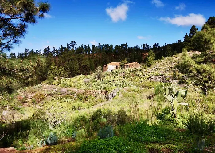 Tierrazul Art Boutique White Nordic Appartamento *