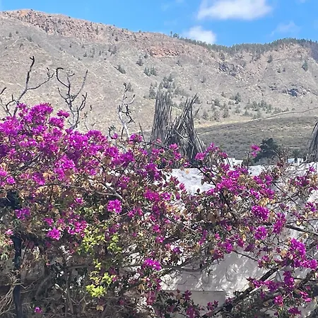 Tierrazul Art Boutique White Nordic