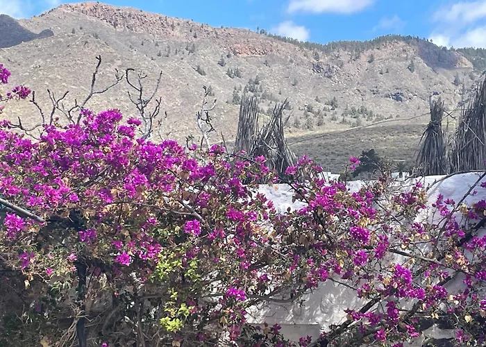 Tierrazul Art Boutique White Nordic